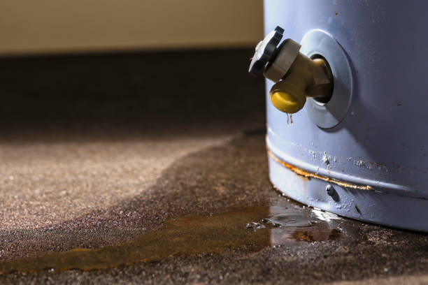 Best Water damage contractors near me  in Sabetha, KS