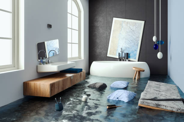 Best Basement water damage restoration  in Sabetha, KS