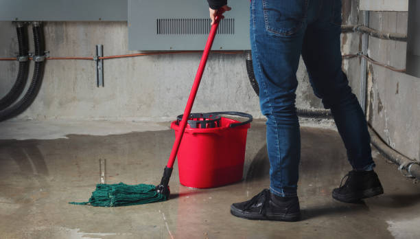 Best Water damage restoration near me  in Sabetha, KS