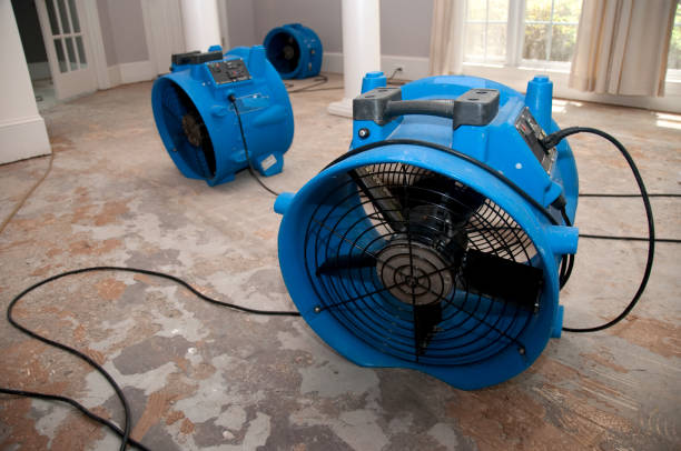 Best Residential water damage restoration  in Sabetha, KS