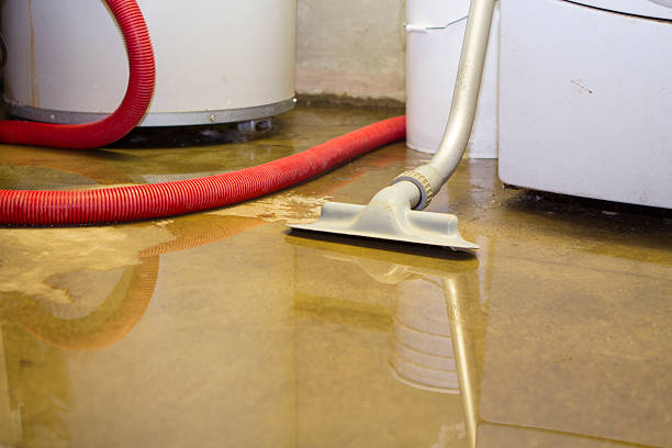 Best Carpet water damage restoration  in Sabetha, KS