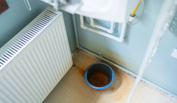 Best Ceiling water damage repair  in Sabetha, KS