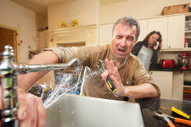 Best Flood restoration services  in Sabetha, KS